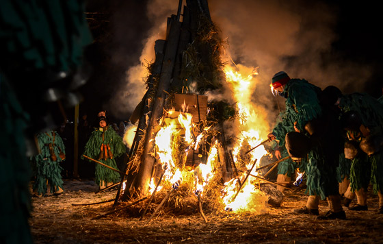 Фотохроника 14 января