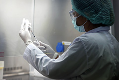 В США успешно испытали на мышах потенциальное лекарство от COVID