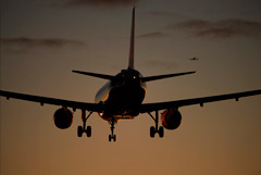 Авиакомпании РФ сократили перевозки в 2020 году на 46%