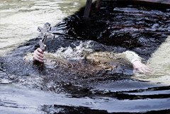 Комитет Госдумы по охране здоровья рекомендовал не купаться в проруби