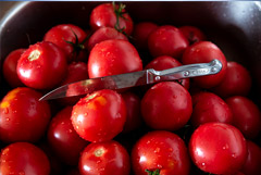 Казахстан пригрозил РФ ответными мерами из-за ограничения ввоза томатов