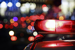 Семья модели Булычевой пожаловалась на следствие по делу о гибели в ДТП ее брата