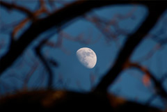 Восьмимесячный эксперимент имитации полета на Луну начнется в РФ в июне