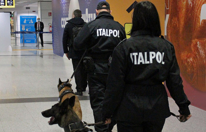 Собаки будут выявлять COVID у людей по запаху в римском аэропорту