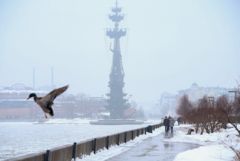 Январь в Москве перевыполнил норму осадков на 40%