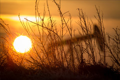 Суверенный фонд Норвегии продал весь пакет акций нефтяных компаний