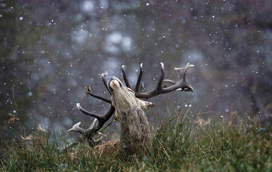 Фотохроника 9 февраля