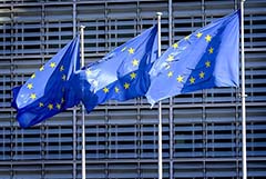 ЕС назвал присутствие дипломатов на судах в РФ классической практикой