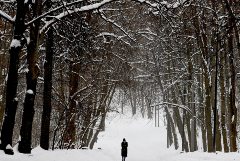 Более 60% месячной нормы осадков выпало в Подмосковье