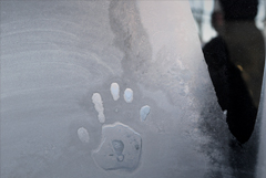 Госдума приняла закон о запрете высаживать детей-безбилетников