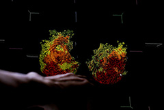 В России коронавирус обнаружен еще у 12 953 человек