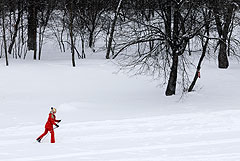 До 4 см снега выпадет в Москве к полуночи