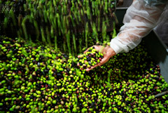 "Ъ" узнал о риске роста цен на оливковое масло в России