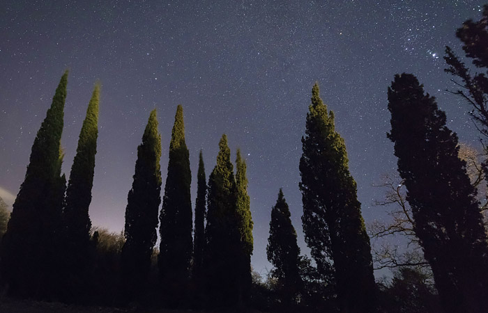 Жители Фороса потребовали прекратить стройку детского лагеря в 200-летнем парке