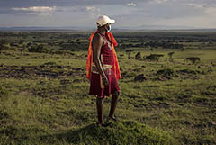 Африка вышла на плато по заболеваемости COVID-19