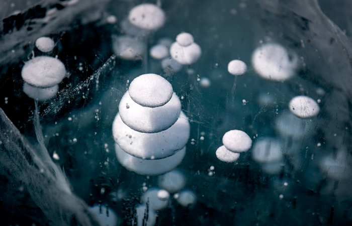 Некоторые микроорганизмы в Байкале оказались устойчивы к антибиотикам