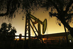 Цены на нефть снижаются на данных о росте запасов топлива в США