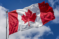 Канада ввела санкции против девяти официальных лиц РФ из-за Навального