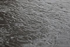 Пятая часть месячной нормы осадков выпала за ночь в Москве