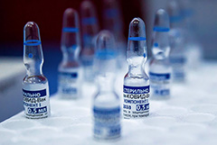 Канцлер Австрии допустил скорую закупку страной "Спутника V"