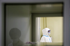 В России за сутки зарегистрировано 8,3 тыс. новых случаев COVID-19