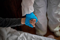 В России за сутки выявлено 8,3 тыс. случаев заражения коронавирусом