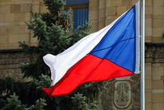 В Чехии заявили, что не объявляли Петрова и Боширова в розыск