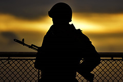 Принят закон о запрете на иностранное гражданство для госслужащих, военных и дипломатов