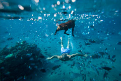 Израиль с 1 сентября будет субсидировать чартеры из России в Эйлат