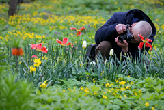Потепление придет в Москву после праздников