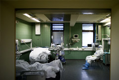 В России за сутки выявлено 8,2 тыс. случаев коронавируса