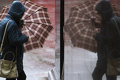 Ветер повалил в Москве почти 70 деревьев и повредил более 25 машин