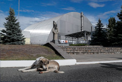 Украинский ядерный центр счел контролируемыми процессы под куполом ЧАЭС