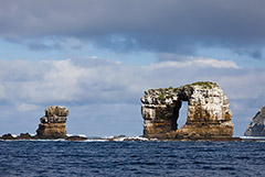 Знаменитая скала Арка Дарвина обрушилась на Галапагосах