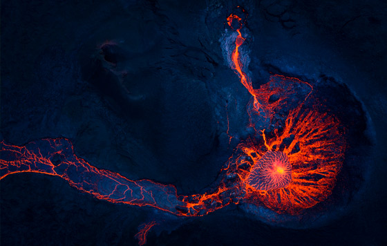 Лучшие фото недели