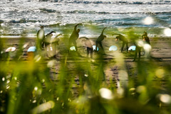 Вице-премьер Чернышенко допустил рост турпотока на Камчатку на 20%