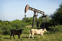 Нефтяные цены начали снижаться