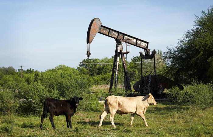 Нефтяные цены начали снижаться