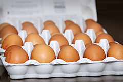 Минсельхоз не ожидает дефицита яиц в России