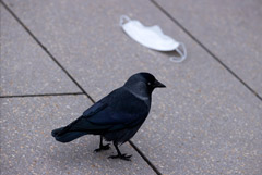 Бурятия ужесточила ограничения из-за роста числа случаев COVID-19