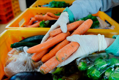 Минсельхоз РФ назвал традиционным рост цен на овощи в это время года