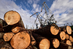 Лесхозы выйдут на биржу. Обзор.