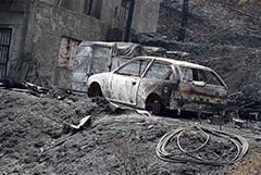 На Кипре тушат самый крупный в новейшей истории острова природный пожар