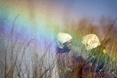 Свердловский губернатор сообщил о введении режима ЧС из-за засухи