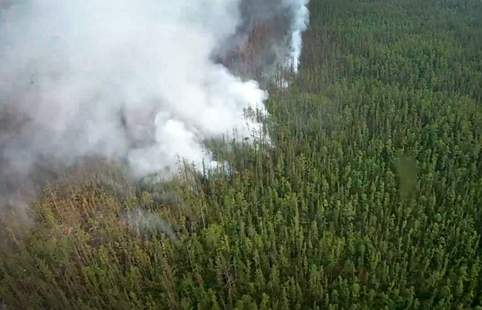 Более миллиона гектаров леса сгорело в Якутии