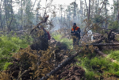 Площадь природных пожаров в Якутии за сутки уменьшилась на 170 тыс. га