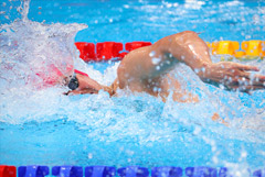 Олимпиада. 29 июля. Онлайн