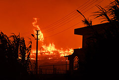 МИД РФ пока не видит необходимости эвакуировать туристов из Турции