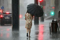 Четверть месячной нормы осадков выпала за ночь в Москве