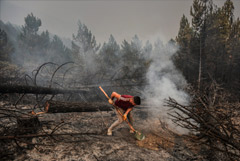 В Турции удалось потушить большинство лесных пожаров